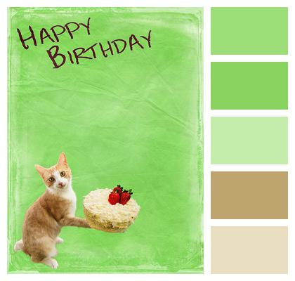 Cakes Cat Date Of Birth Image